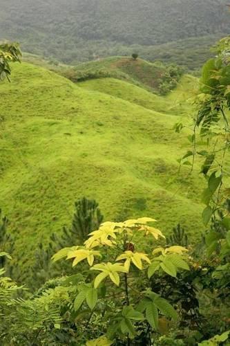 Green Rolling Landscape in Guatemala Journal
