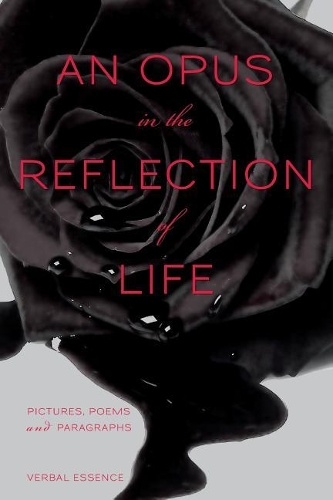 An Opus in the Reflection of Life