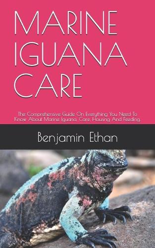 Marine Iguana Care