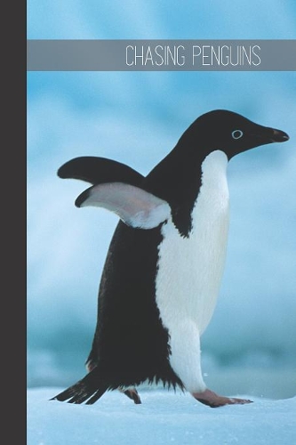 Chasing Penguins