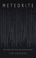 Meteorite