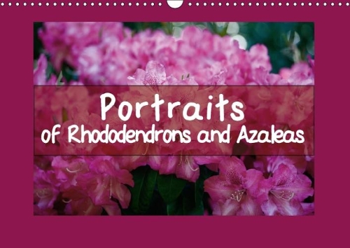 Portraits of Rhododendrons and Azaleas 2018