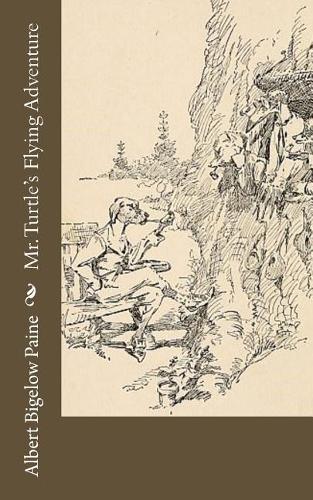 Mr. Turtle's Flying Adventure