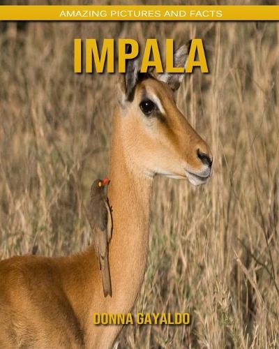 Impala