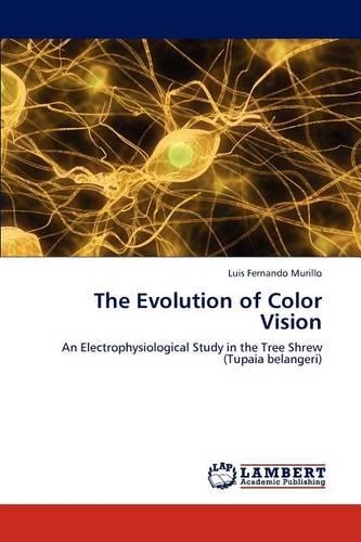 The Evolution of Color Vision