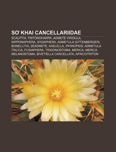 S Khai Cancellariidae