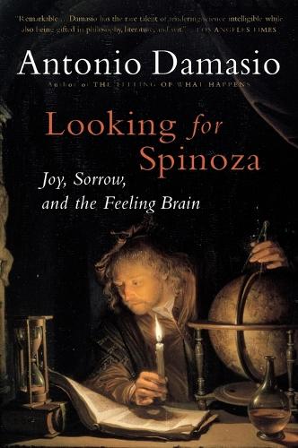 Looking for Spinoza