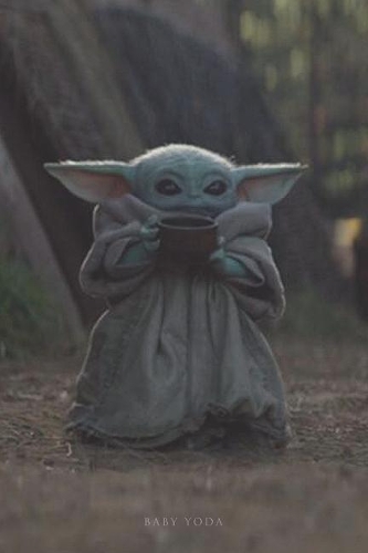 Baby Yoda