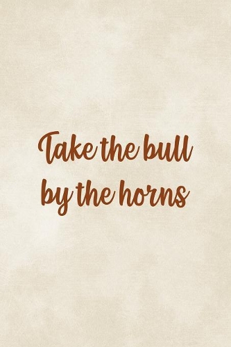 Take The Bull By The Horns