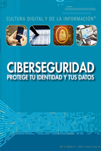 Ciberseguridad: Protege Tu Identidad Y Tus Datos (Cybersecurity: Protecting Your Identity and Data)