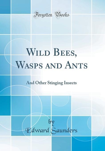 Wild Bees, Wasps and Ants