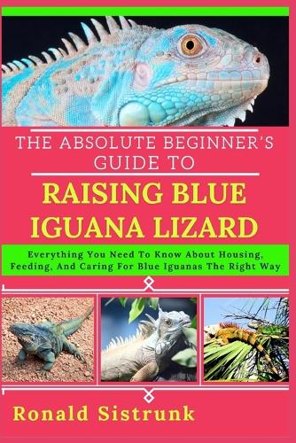 The Absolute Beginner's Guide to Raising Blue Iguana Lizard