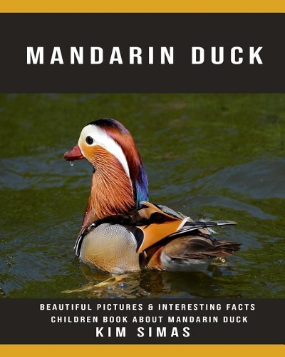 Mandarin Duck