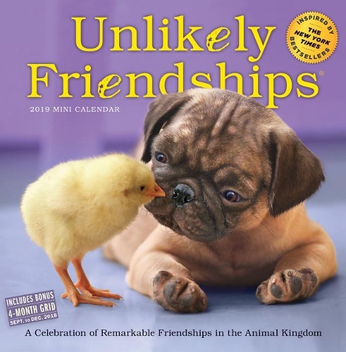 2019 Unlikely Friendships Mini Wall Calendar