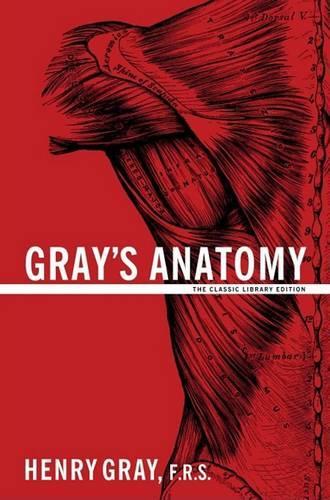 Gray's Anatomy