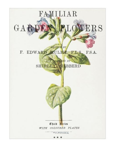Familiar Garden Flowers