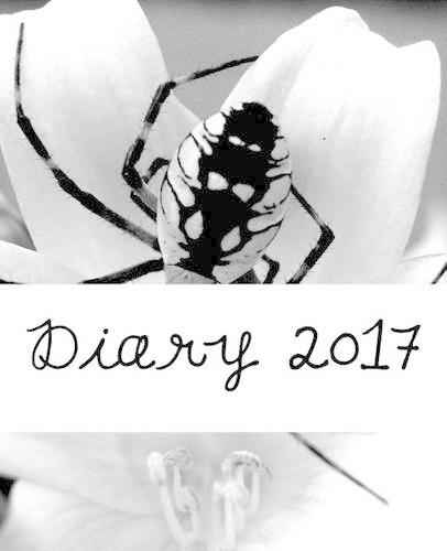 Diary 2017