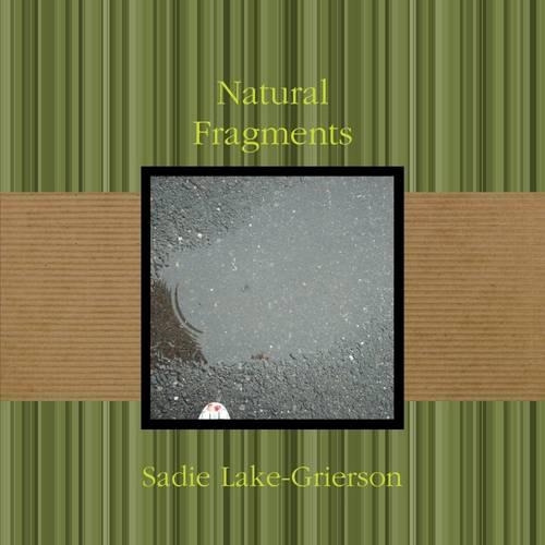 Natural Fragments