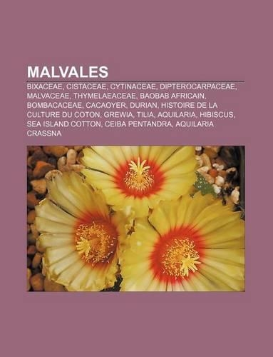Malvales