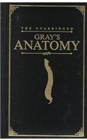 Anatomy