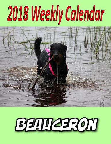2018 Weekly Calendar Beauceron