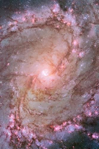 Spiral Galaxy M83 Outer Space