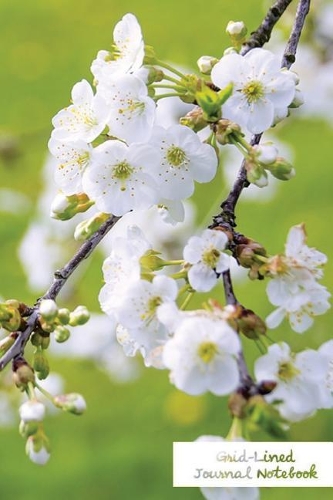 Grid-Lined Journal Notebook.: (Diary, Notebook) Glossy And Soft Cover, Grid-Lined Journal, Grid-Lined Notebook, Graph, 100 Grid-Lined Pages, Size 6" x 9"(Grid-Lined Flower Edition.)