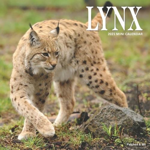 Lynx