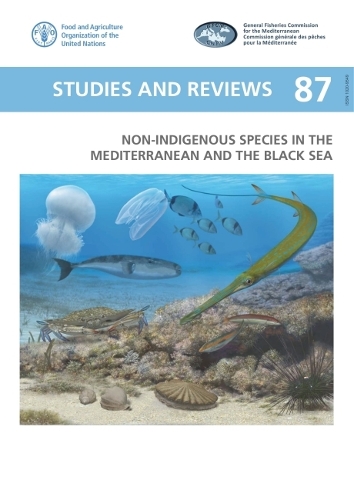 Non-indigenous species in the Mediterranean and the Black Sea