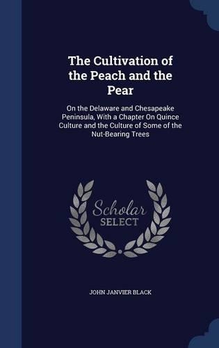 The Cultivation of the Peach and the Pear