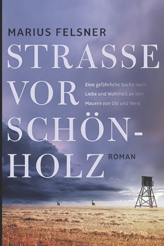 Strasse vor Schönholz