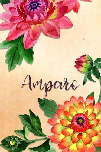 Amparo