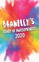 Brantley's Diary of Awesomeness 2020