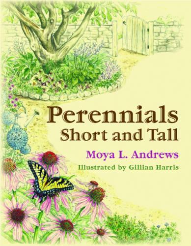 Perennials Short and Tall