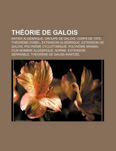 Theorie de Galois