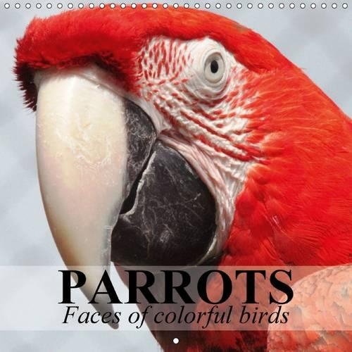 Parrots - Faces of colorful birds 2015