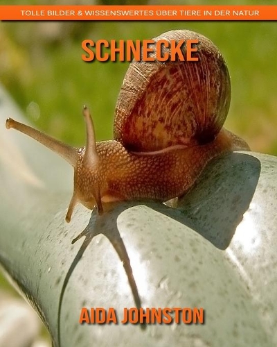 Schnecke