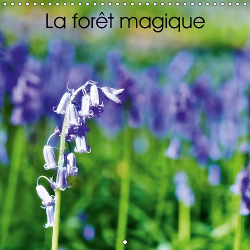 La forêt magique 2019