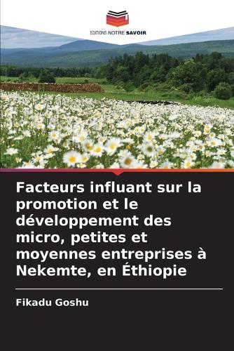 Facteurs influant sur la promotion et le développement des micro, petites et moyennes entreprises à Nekemte, en Éthiopie