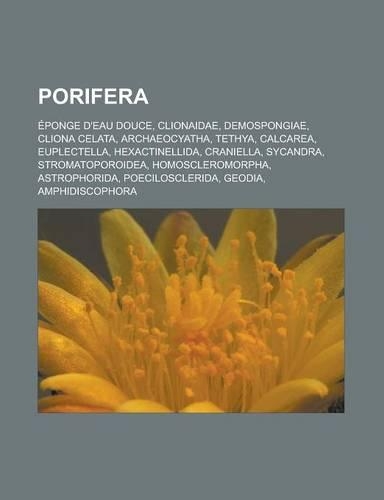 Porifera