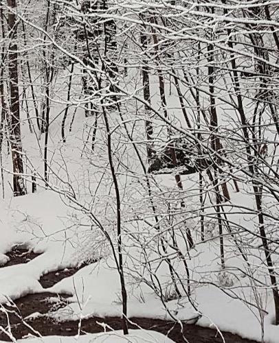 Winter School Composition Book Scenic Snow Stream 130 Pages