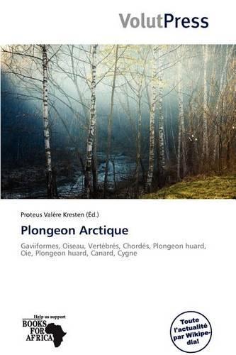 Plongeon Arctique