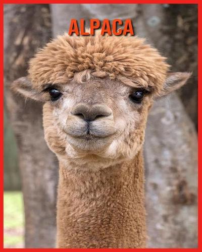 Alpaca