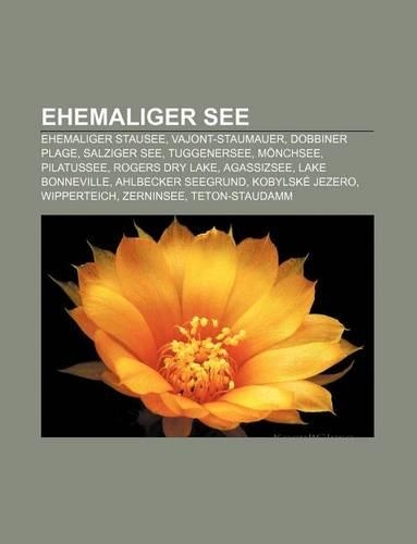 Ehemaliger See