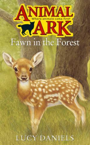 Fawn in the Forest