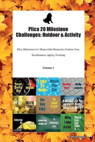 Plica 20 Milestone Challenges