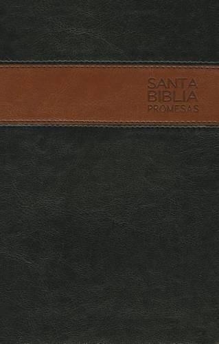 Santa Biblia Promesas-Ntv