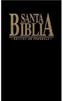 Biblia de Promesas Negro