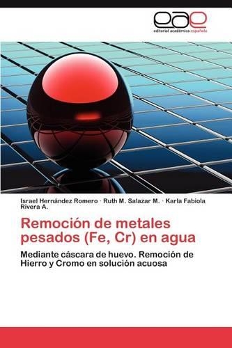 Remocion de Metales Pesados (Fe, Cr) En Agua