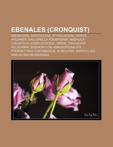 Ebenales (Cronquist)
